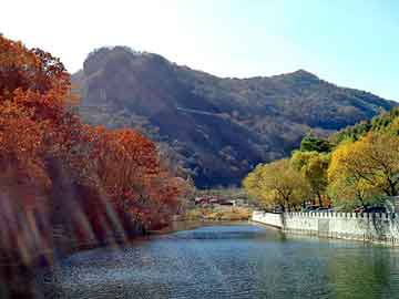 管家婆免费正版资起大全，两生花祭